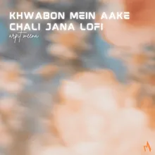 Khwabon Mein Aake Chali Jana Lofi