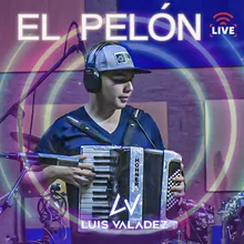 El Pelón (Live)