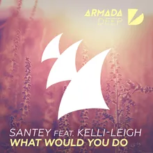 What Would You Do Extended Mix