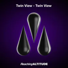 Twin View Extended Mix