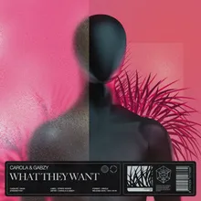 What They Want Extended Mix