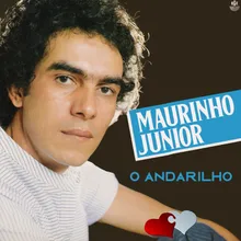 O Andarilho