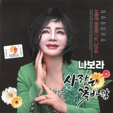 연락선