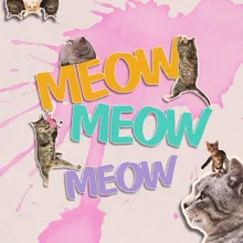Meow (Feat. Groovy D)