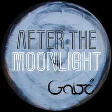 After The Moonlight Electro feat. Thania Sanz