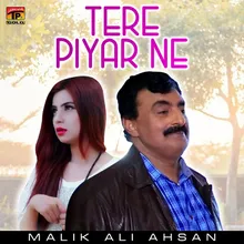 Tere Piyar Ne