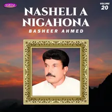 Nasheli A Nigahona