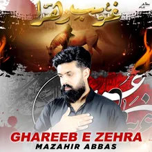 Ghareeb E Zehra