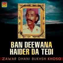 Ban Deewana Haider Da Tedi