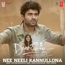 Nee Neeli Kannullona (From "Dear Comrade")