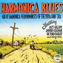 Harmonica Rag