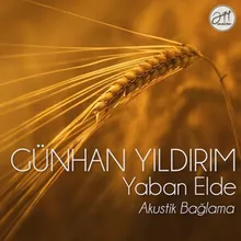 Yaban Elde Akustik