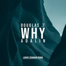 Why Ludvig Löjdmark Remix