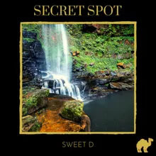 Secret Spot Interlude