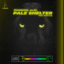 Pale Shelter Radio Edit
