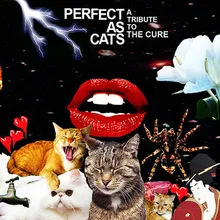 Close To Me Perfect As Cats Version