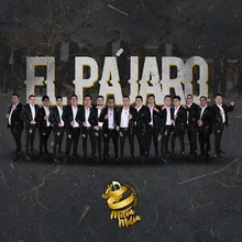 El Pájaro