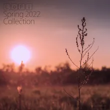 LoFi Spring 2022 Collection Continuous Mix