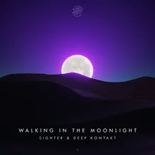 Walking In The Moonlight