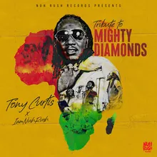 Tribute To Mighty Diamonds