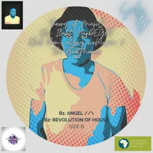 Revolution of House