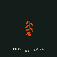 Feel My Love