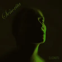 Señorita Remix
