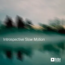 Endless Slow Motion