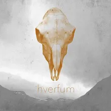 Hverfum