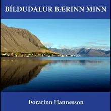 Bíldudalur bærinn minn