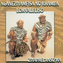 Ziyaphel' Insizwa