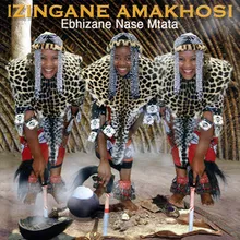 Kaz' Impukane Zing' Zwani