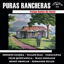 Los Amores De Mi Prieta Puras Rancheras