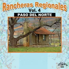 Paso Del Norte