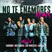 No Te Enamores Remix