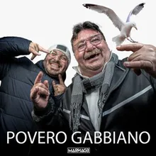 Povero Gabbiano