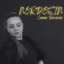 Nerdesin