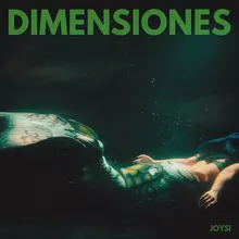 DIMENSIONES