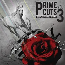 Prime Cuts 3 continuous DJ mix