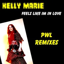 Feels Like I'm in Love PWL Remix