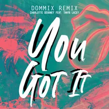 You Got It-Dommix Remix