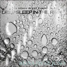 Deep Sleep in the Rain 1