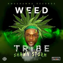 Weed Tribe