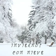 Muñeco De Nieve