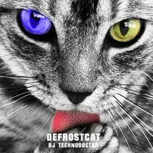 Defrostcat-Instrumental