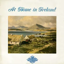 The Isle Of Innisfree / Forty Shades Of Green / Does Your Mother Come From Ireland? / I'll Take You Home Again Kathleen