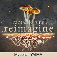 Mycelia-Fantastic Fungi: Reimagine