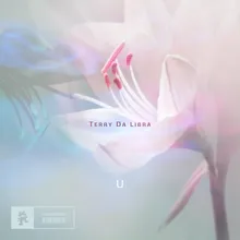 U (Extended Mix)