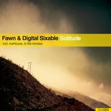 Solitude (meHiLove Dub Remix)