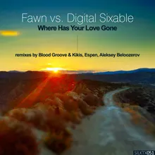 Where Has Your Love Gone (Blood Groove & Kikis Remix)